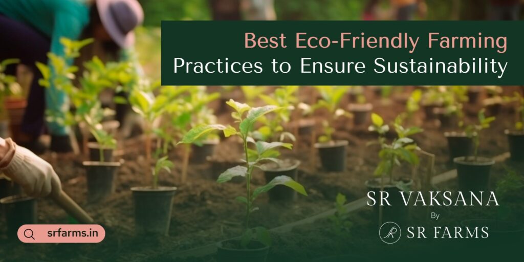 Best Eco-Friendly Farming Practices to Ensure Sustainability